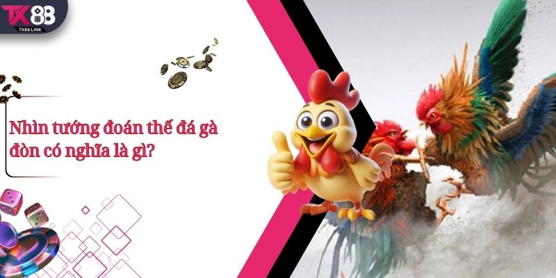 Nhìn tướng đoán thế đá gà đòn có nghĩa là gì?